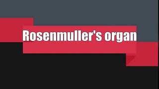 How to Pronounce Rosenmullers organ [upl. by Aillimac]