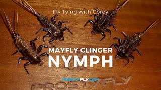 Fly Tying Mayfly Clinger Nymph by Corey Cabral [upl. by Millwater]