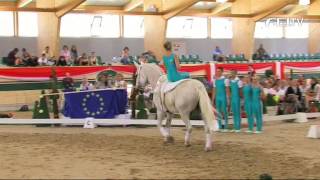 FEI European Vaulting Championships 2013  Junior Squad  1st Place Austria [upl. by Kelton]