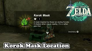 Korok Mask Location in Zelda Tears of the Kingdom Detects Korok Seeds [upl. by Namlaz999]