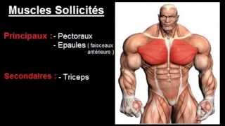 Exercice musculation Pectoraux  quot Développé incliné haltères quot [upl. by Olbap455]