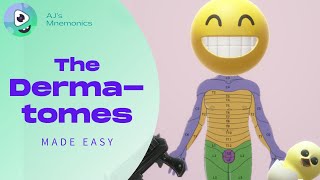 How to Easily Memorize the Dermatomes [upl. by Donohue]