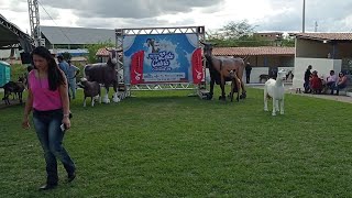 FESTIVAL DO LEITE DE CABRA EM COXIXOLAPB EXPOSIÇÃO DE ANIMAIS E FEIRA DE ARTESANATO ANO 2023 [upl. by Grethel]