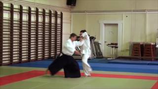 Eamonn Devlin Sensei 5th Dan at the Aikikai of Greece joint practice [upl. by Leibman]