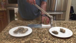 Shucking Oysters with Easy to Use Oyster Shucker [upl. by Anerda498]