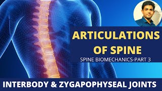 INTERBODY amp ZYGAPOPHYSEAL JOINTS ARTICULATIONS OF SPINE  BIOMECHANICS OF SPINE PART 3 [upl. by Aer]