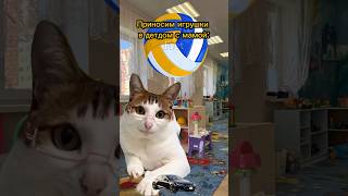 Детдом ограбил котика🙀 Мой тг YtFret cat мем фрет [upl. by Yanaj539]