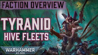 Every Tyranid Hive Fleet Leviathan amp MORE  Warhammer 40k Lore [upl. by Tabby]