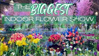 Philadelphia Flower Show 2024 The Best Displays [upl. by Wald815]