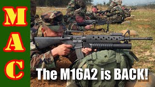 AR15A2s are back A buyers guide to the latest A2s [upl. by Refitsirhc342]