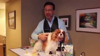 Jorge Benderskys Grooming Tips  Web Extra  The Meredith Vieira Show [upl. by Elorak458]