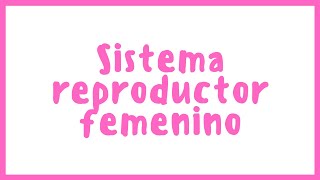 ANATOMÍA  Sistema reproductor femenino  Blasto Med [upl. by Enelrihs]