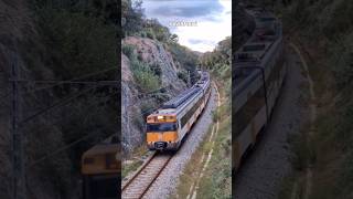 S447 en la curva del diablo 👹 trains train trenes rodalies [upl. by Bathsheb]