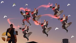 TF2 Flight of the Birb Medics [upl. by Aitnahs]