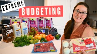 Extreme Budget Grocery Haul Gluten amp Lactose Free [upl. by Gauthier189]