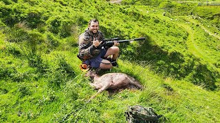 24 hrs in Whanganui NZ Hunting Fallow Deer amp Trout Fishing  Catch amp Cook 2024 HD [upl. by Einnahc]