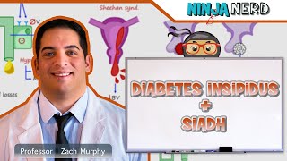 Diabetes Insipidus and SIADH  Clinical Medicine [upl. by Leor36]