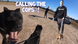 Fight Breaks Out Over Cane Corso amp Beagle Safety At Dog Park  Nite  Gator [upl. by Prue356]