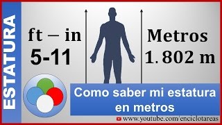 Cómo saber mi estatura en metros m ftin a metros [upl. by Khalin]