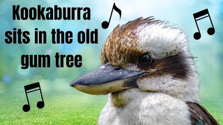 Learn the Kookaburra Song for Camp 🌞 Sing Along Fun for Counselors Kids and Teens [upl. by Sid]