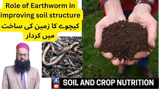 Role of Earthworm inimproving soil structureSoil And Crop Nutritionکیچوے کا زمین کی ساخت میں کردار [upl. by Virgy]