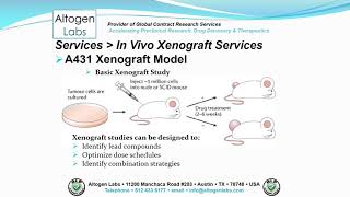 Altogen Labs A431 Xenograft Service Melanoma [upl. by Arul]