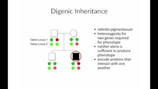 NonMendelian Inheritance Patterns by B Korf  OPENPediatrics [upl. by Mohl]