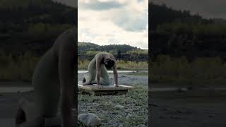 Increase Flexibility and Strengthen Your Core Yoga Flow for Beginners [upl. by Nae]