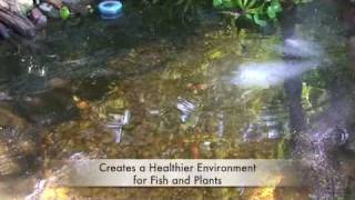 GreenClean Pond Algae Control  Tips and Applications [upl. by Ema]