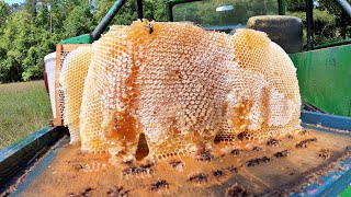 80 Pounds of Liquid GOLD  Honey Harvest 2024 [upl. by Tommy]