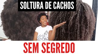 SOLTURA DE CACHOS PROFISSIONAL EM CABELO CRESPO  Tutorial passo a passo [upl. by Naejamron502]