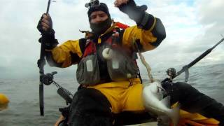 Kayak fishing for Cod and Ray [upl. by Candida]