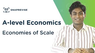 External Economies of Scale  A level Economics Explained [upl. by Segal]