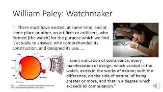 William Paley Natural Theology The Watchmaker Argument [upl. by Lonnie625]