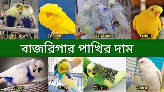 বাজরিগার পাখির দাম 2023 পাখি পালন  Budgerigar Bird price In Bangladesh and India 2023  Grow Life [upl. by Slavic]