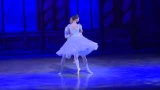 Cinderella ballet by Victoria Ballet Company Canada [upl. by Francklin519]