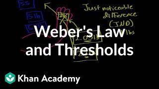 Webers law and thresholds  Processing the Environment  MCAT  Khan Academy [upl. by Sausa]