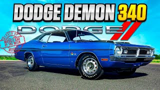 Dodge On A Budget  The Rare Demon 340 [upl. by Orimlede251]