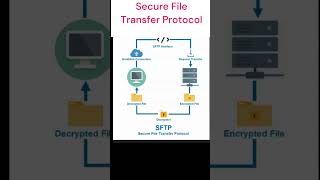 SFTP vs FTPS [upl. by Arri]