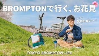 ［Vlog］BROMPTONに乗ってソロお花見に行ってきた！  TOKYO BROMPTON LIFE [upl. by Naik880]