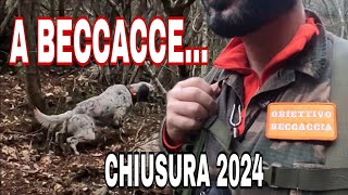 Caccia alla Beccaccia  Chiusura Stagione Venatoria 2024  Con Benito il Breton e Assunta la Setter [upl. by Gawain428]