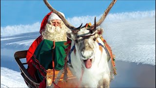 Père Noël et rennes en Laponie 🦌🎅 course de renne et départ pour la nuit de Noël  Santa Claus [upl. by Tik]