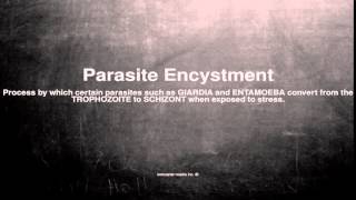 Medical vocabulary What does Parasite Encystment mean [upl. by Annwahs736]