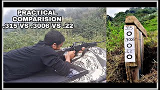 Practical Comparison of 315 vs 3006 vs 22 IOF rifles AT 50 meter [upl. by Ianahs]