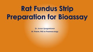 Bioassay of Acetylcholine using rat ileum by Four point bioassay [upl. by Skvorak]