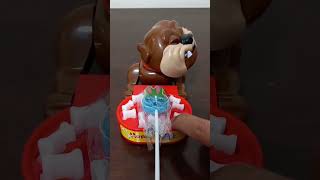 CHIWAWA DOG ANGRY SOMEONE TOUCH THIER LOLLIPOP ASMRshortsviral shortsvideo [upl. by Ahse798]