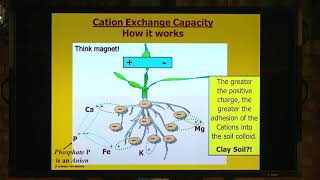 How Cation Exchange Capacity works [upl. by Aziaf157]