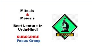 9 Mitosis amp Meiosis  Cell Division  Lecture in UrduHindi [upl. by Annaiuq]