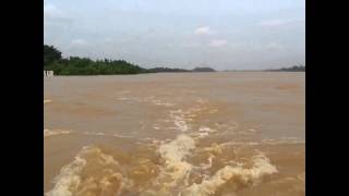 Banjir 2014 pekan pahang [upl. by Adnawad]