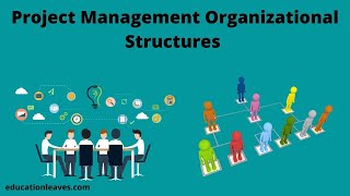 Project Management Organizational Structures [upl. by Flore135]